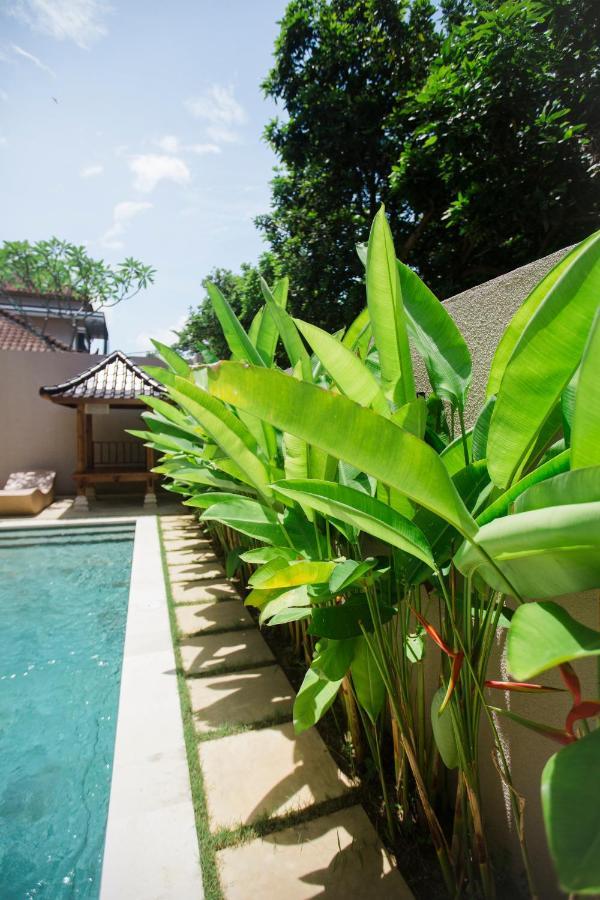 Bed and Breakfast Donguri House Bali à Jimbaran Extérieur photo